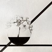 My project for course: Contemporary Botanical Illustration with Ink. Un projet de Illustration traditionnelle, Dessin artistique, Illustration botanique et Illustration à l'encre de marina_re - 28.09.2023