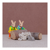 Forest. Un progetto di Fotografia di Rakel - 07.01.2023