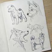 My project for course: Daily Sketching for Creative Inspiration. Ilustração tradicional, Esboçado, Criatividade, Desenho, e Sketchbook projeto de Amandine Bertrand - 01.10.2023