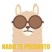 Nadie te pregunto. Design, Motion Graphics, and Animation project by Angela Ordaz Gómez - 10.02.2023