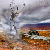 My project for course: Magical Photomontage in Photoshop: Creating Visual Metaphors. Un progetto di Postproduzione fotografica, Ritocco fotografico, Fotografia digitale, Composizione fotografica e Fotomontaggio di Päivi Remes - 02.10.2023