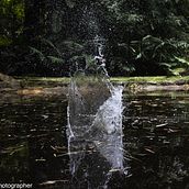 Mi proyecto del curso: Fotografía documental . Un progetto di Fotografia, Postproduzione fotografica, Fotografia con smartphone, Fotografia digitale, Fotografia all'aperto e Fotografia documentaria di Vannia Gozzer Sánchez - 03.10.2023