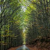 Mi proyecto del curso: Fotografía para principiantes: descubre tu cámara digital. Un proyecto de Fotografía, Fotografía digital y Composición fotográfica de Toñi Muñoz - 04.10.2023