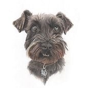 Retrato ilustrado de Vader. Traditional illustration, Realistic Drawing, Portrait Drawing, and Colored Pencil Drawing project by Sofía Soto - 10.03.2023