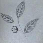 Mon projet du cours : Illustration botanique à l’aquarelle. Traditional illustration, Fine Arts, Painting, Drawing, Watercolor Painting, and Botanical Illustration project by Trysken Van Crombrugge - 10.05.2023