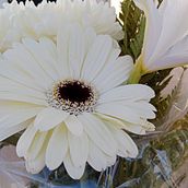Mi proyecto final del curso: Creación de ramos de flores desde cero. Un progetto di Interior design, Paesaggismo, Interior Design, DIY e Design floreale e vegetale di Camilo Muñoz - 05.10.2023