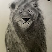 Mijn project van de cursus: Leer dieren illustreren met houtskool en inkt . % Susan tarafından hazırlanan Güzel sanatlar, Çizim, Doğalcı İllüstras, on, Geleneksel illüstras, Ve on projesi - 10.05.2023