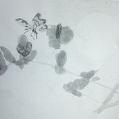 Mi proyecto del curso: Introducción a la pintura sumi-e . % Karla Patricia tarafından hazırlanan Geleneksel illüstras, on, Güzel sanatlar, Tablo, Çizim, Mürekkep İllüstras, Ve onu projesi - 10.05.2023