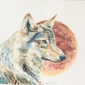 My project for course: Expressive Animal Portraits in Watercolor. Een project van Traditionele illustratie, Aquarelschilderen, Realistische tekening y Naturalistische illustratie van Aimee Montgomery - 05.10.2023