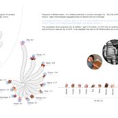 PLUMP 2022 - data visualization and information design. Information Design, Interactive Design & Infographics project by saracaselli - 10.06.2023