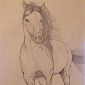 Drawings in Colours Pencils. Artistic Drawing, Colored Pencil Drawing, Figure Drawing, Realistic Drawing, Watercolor Painting, Pencil Drawing, and Drawing project by Mabel Barquero - 10.07.2023