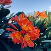 Mi proyecto del curso: Fotografía profesional para Instagram. Advertising, Photograph, Marketing, Social Media, Mobile Photograph, Product Photograph, Mobile Marketing, Instagram, Instagram Photograph, Lifest, and le Photograph project by Delfina Perez - 10.07.2023