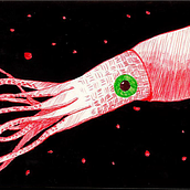 Calamar en Boligrafo. Traditional illustration project by Logan Sierra - 10.08.2023