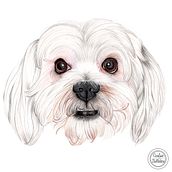 Mi proyecto del curso: Retratos de Mascotas en Lápices de Colores. Traditional illustration, and Naturalistic Illustration project by Carolina Apolaya Csirke - 10.09.2023
