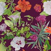 Mon projet du cours : Carnet de croquis botanique : une approche méditative Ein Projekt aus dem Bereich Traditionelle Illustration, Skizzenentwurf, Zeichnung, Aquarellmalerei, Botanische Illustration und Sketchbook von cathe_maisonnier - 10.10.2023