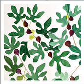 Fig Tree . Desain Pola, Lukisan Cat Air & Ilustrasi tradisional proyek oleh Dimitra Polychronis - 10.10.2023
