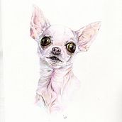 Mi proyecto del curso: Retratos de Mascotas en Lápices de Colores. Un progetto di Illustrazione tradizionale e Illustrazione naturalistica di tln_prats - 10.10.2023