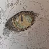 My project for course: Pet Portraits in Colored Pencils. Traditional illustration, and Naturalistic Illustration project by Christine Moore - 10.13.2023