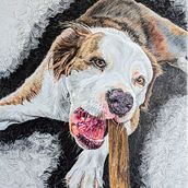 Gina's Pooch. Traditional illustration, Arts, Crafts, and Fine Arts project by Wretched Commonly - 10.14.2023