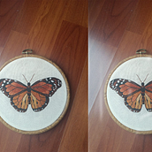 Il mio progetto del corso: Tecniche di ricamo realistico. Traditional illustration, Embroider, and Textile Design project by Chiara Di Iorio - 10.16.2023
