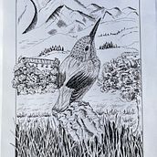 Mijn project van de cursus: Illustratie met een kroontjespen en inkt: leg de natuur vast . % marleen_e_albers tarafından hazırlanan Eskiz çizimi, Çizim, Sanatsal Çizim, Eskiz defteri, Mürekkep İllüstras, onu, Doğalcı İllüstras, Ve on projesi - 10.17.2023