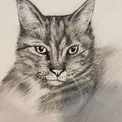Mijn project van de cursus: Realistische dierenafbeeldingen in grafietpotlood . % Lise tarafından hazırlanan Güzel sanatlar, Kalem Çizimi, Çizim, Gerçekçi Çizim, Doğalcı İllüstras, Ve on projesi - 10.17.2023