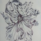 Mi proyecto del curso: Ilustración en sketchbook con bolígrafo: disfruta dibujando. Un proyecto de Bocetado, Dibujo, Sketchbook e Ilustración con tinta de CaTam - 18.10.2023