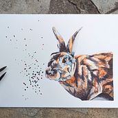 My project for course: Expressive Animal Portraits in Watercolor. Traditional illustration, Watercolor Painting, Realistic Drawing, and Naturalistic Illustration project by Caroline Chrétien - 10.18.2023