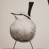 My project for course: Artistic Watercolor Techniques for Illustrating Birds. Traditional illustration, Watercolor Painting, Realistic Drawing, and Naturalistic Illustration project by trudywww - 10.19.2023