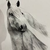 Mi proyecto del curso: Retratos expresivos de animales en acuarela . % Clarita Plazas tarafından hazırlanan Geleneksel illüstras, on, Sulubo, a Resim, Gerçekçi Çizim, Doğalcı İllüstras, Ve on projesi - 10.19.2023