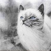 My project for course: Expressive Drawing with Charcoal. Un projet de Beaux Arts, Dessin, Dessin de portrait et Illustration naturaliste de Zuzana Zachová - 19.10.2023
