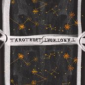 My project for course: Illustration for Tarot: Crafting Your Signature Style. Drawing, Digital Illustration & Ink Illustration project by Elin Heldin - 10.20.2023