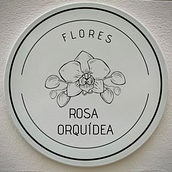 Homenagem à minha avó . Design gráfico projeto de Thiago de Moura - 20.10.2023