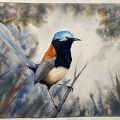 My project for course: Naturalist Bird Illustration with Watercolors. Un progetto di Illustrazione tradizionale, Pittura ad acquerello, Disegno realistico e Illustrazione naturalistica di Nick Sutherland - 20.10.2023