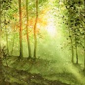 Il mio progetto del corso: Paesaggi incantevoli ad acquerello: dipingi con la luce. Un proyecto de Pintura y Pintura a la acuarela de Pina Muscas - 21.10.2023