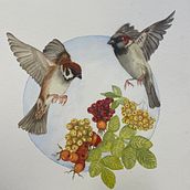 My project for course: Botanical Watercolor Painting of the Natural World. Fine Arts, Painting, Watercolor Painting, Botanical Illustration, and Naturalistic Illustration project by Dixie Davis - 10.21.2023