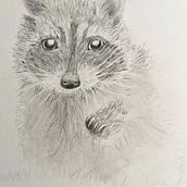 My project for course: Naturalistic Animal Drawing with Graphite Pencil. Un proyecto de Ilustración tradicional, Dibujo, Ilustración naturalista				 y Dibujo a lápiz de dominiquedodge - 20.10.2023