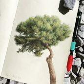 Il mio progetto del corso: Pittura ad acquerello: esplora le tecniche del pennello asciutto . % Sonia Bertazzi tarafından hazırlanan Güzel sanatlar, Tablo, Çizim, Sulubo, a Resim, Botanik İllüstras, on, Doğalcı İllüstras, Ve on projesi - 01.07.2024