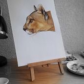 Mi proyecto del curso: Retratos expresivos de animales en acuarela. Un progetto di Pittura ad acquerello, Disegno realistico, Illustrazione naturalistica e Illustrazione tradizionale di Marina Gonzalez - 21.10.2023