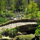 BELIZE KONTIKI FIVE PINE ACRE . Projekt z dziedziny Architektura krajobrazu, Kompoz i cje kwiatowe i botaniczne użytkownika Robbie Chen - 22.10.2023