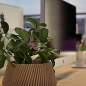 Meu projeto do curso: Motion design com Unreal Engine 5. Un projet de Motion design, 3D, Animation, Animation 3D , et Conception 3D de Igor Bolmene - 22.10.2023