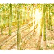 Mon projet du cours : Paysages oniriques à l'aquarelle : capturez la lumière. Un projet de Peinture , et Aquarelle de Claire Poyet - 23.10.2023
