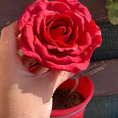 Mi proyecto del curso: Flores de azúcar para cake design. Design, and DIY project by Maira González - 10.24.2023