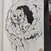 My project for course: Realistic Illustration of Birds with Imaginative Elements. Drawing, Ink Illustration, Pencil Drawing, and Naturalistic Illustration project by Ramon Alencar - 10.25.2023
