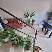 Mi proyecto del curso: Diseño de interiores con plantas desde cero. Design de interiores, Paisagismo, Decoração de interiores, Interiores, DIY, Design floral e vegetal, e Design de espaços projeto de Paola Manrique - 24.10.2023