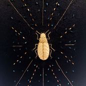 Mon projet du cours : Initiation à la broderie d'or : représentez la nature. Un proyecto de Bordado y Tejido de Catherine Cadiou - 25.10.2023