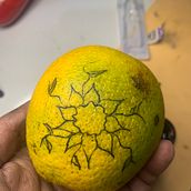 Meu projeto do curso: Tatuagem para principiantes . % juniorandrade133 tarafından hazırlanan Dövme Tasarımı projesi - 10.26.2023
