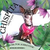 CHISPI...... Een project van Schrijven,  Creativiteit, Stor, telling, Verhaallijn, Fictie schrijven y Creatief schrijven van jackelineespinosa - 26.10.2023