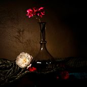 My project for course: Still-Life Photography: Create Dark and Moody Images. Un projet de Photographie de produits, Photographie artistique , et Photographie gastronomique de Michael Kulmar - 26.10.2023