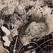 Mein Abschlussprojekt für den Kurs: Tiere zeichnen mit Kohle und Tusche. Fine Arts, Drawing, Ink Illustration, and Naturalistic Illustration project by Hannah - 10.26.2023